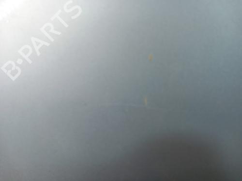 Left front fenders RENAULT CLIO III (BR0/1, CR0/1) 1.2 16V (BR02, BR0J, BR11, CR02, CR0J, CR11) | BP28738064C41 