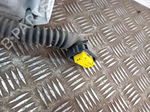 Left rear door RENAULT SCÉNIC III (JZ0/1_) 1.5 dCi (JZ02, JZ0R) | BP28779410C4 