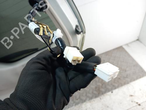 Tailgate NISSAN LEAF (ZE0) Electric | BP30859008C6