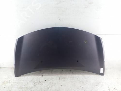 Used Hood RENAULT CLIO III (BR0/1, CR0/1) 1.5 dCi (C/BR0G, C/BR1G) (68 hp) 28738060