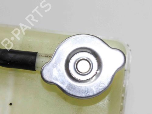 Expansion tank NISSAN LEAF (ZE0) Electric | BP21492753C120 