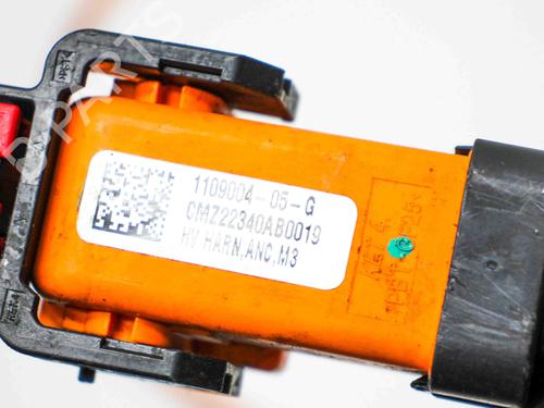 Wiring harness TESLA MODEL Y (5YJY) EV Performance All-wheel Drive | BP28823015E16