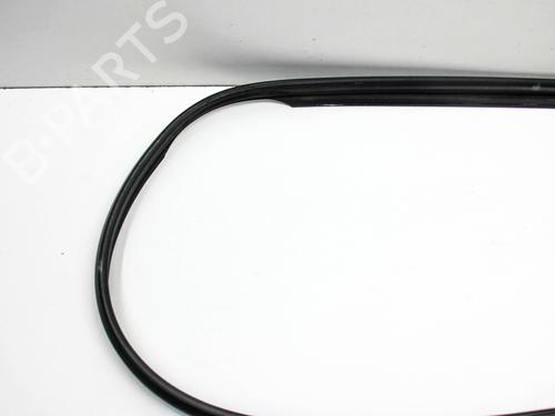 Rubber door seal AUDI A5 Sportback (F5A, F5F) S5 TFSI quattro | BP28059217C142 