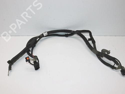 Ledningsnet Ledningsnet AUDI A5 (F53, F5P) 2.0 TFSI quattro (252 hp) 36761880 36761880