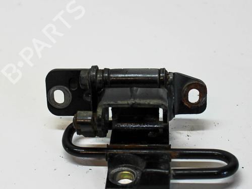 Hinge/Door check strap VW PHAETON (3D1, 3D2, 3D3, 3D4, 3D6, 3D7, 3D8, 3D9) 3.0 V6 TDI 4motion | BP14677377C146 