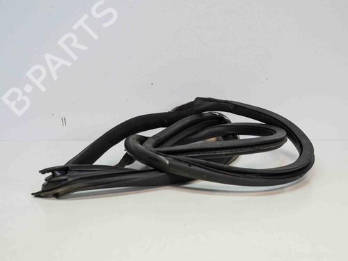 Rubber door seal AUDI A5 Sportback (8TA) 2.0 TFSI | BP14669571C142
