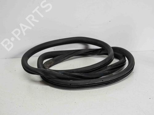 Gummiliste AUDI A6 C6 (4F2) 2.0 TDI (170 hp) 14690639