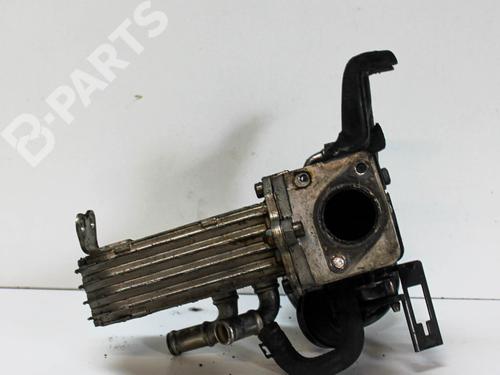 Egr VW PHAETON (3D1, 3D2, 3D3, 3D4, 3D6, 3D7, 3D8, 3D9) 3.0 V6 TDI 4motion | BP10674599M69 