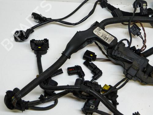 Wiring harness BMW 4 Coupe (F32, F82) 420 d | BP14678555E16 