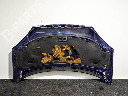 Hood FORD GALAXY I (WGR) 1.9 TDI | BP6498192C1 