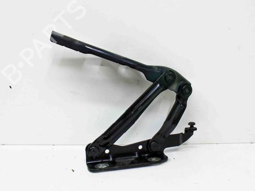 Hinge/Door check strap VW EOS (1F7, 1F8) 2.0 TDI | BP17229292C146