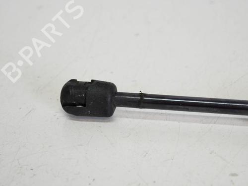 Tailgate lift support AUDI A6 C6 (4F2) 2.7 TDI | BP14690619C138 