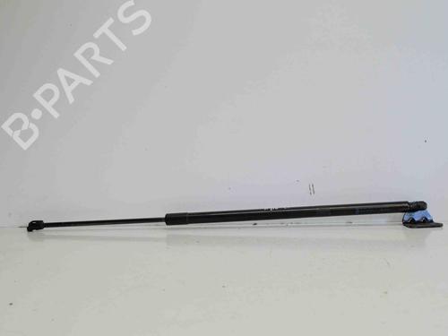 Used Tailgate lift support FORD KUGA II (DM2) 2.0 TDCi 4x4 (163 hp) 14692286