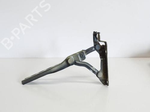 Used Hinge/Door check strap SKODA OCTAVIA II (1Z3) 1.4 TSI (122 hp) 14686210