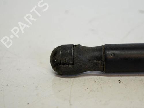 Hood lift support VW CADDY III Box Body/MPV (2KA, 2KH, 2CA, 2CH) 2.0 SDI | BP14688134C139 