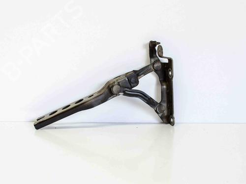 Used Hinge/Door check strap SKODA OCTAVIA II (1Z3) 1.8 TSI (160 hp) 14686283