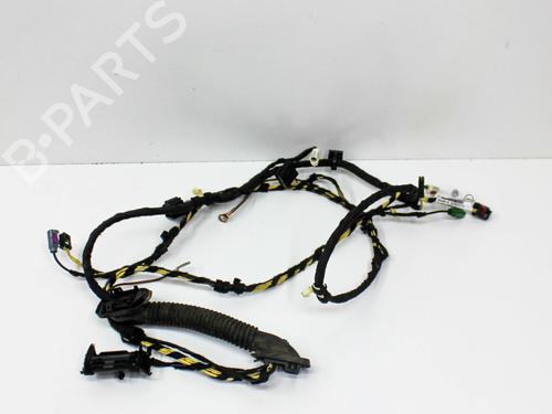 Kabelboom VW ARTEON (3H7, 3H8) 2.0 TSi 4motion (272 hp) 28821859