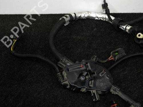 Wiring harness BMW 5 (G30, F90) 530 e Plug-in Hybrid | BP16196097E16 