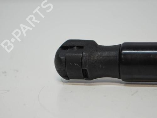 Hood lift support BMW 3 Touring (F31) 320 d | BP14670836C139 