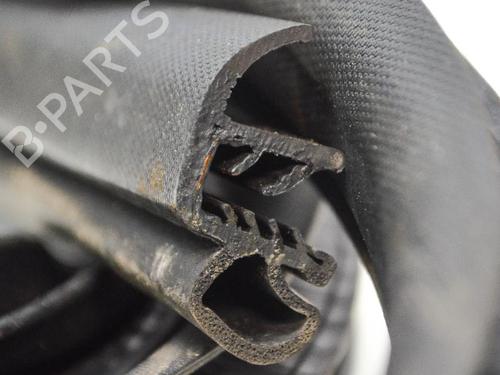 Rubber door seal FORD KUGA II (DM2) 1.5 TDCi | BP14670491C142 