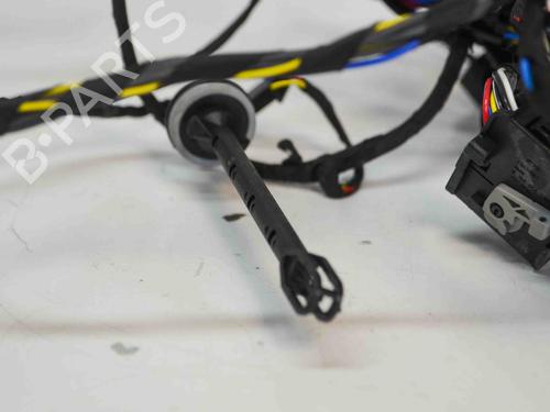 Wiring harness BMW X5 (F15, F85) sDrive 25 d | BP14671236E16