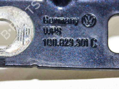 Hinge/Door check strap VW EOS (1F7, 1F8) 2.0 TDI | BP17229292C146