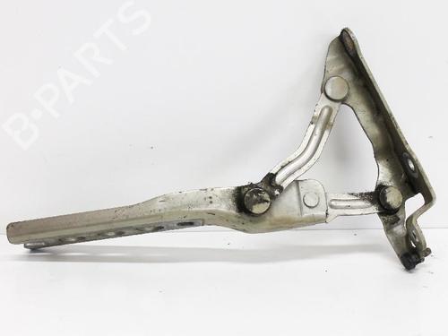 Used Hinge/Door check strap SKODA OCTAVIA II (1Z3) 1.6 (102 hp) 14683246