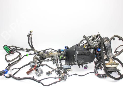 BP29919194E16 main image