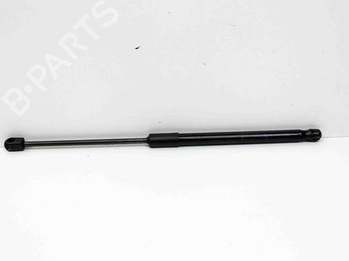 Used Hood lift support FORD ECOSPORT 1.0 EcoBoost (140 hp) 19651726