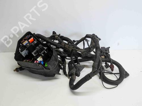Used Wiring harness AUDI Q7 (4LB) 3.0 TDI quattro (245 hp) 14691302