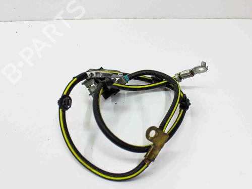 Used Cable NISSAN LEAF (ZE0) Electric (109 hp) 21492835