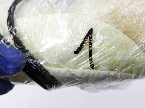 Other AUDI A6 C7 (4G2, 4GC) 3.0 TFSI quattro | BP17229487O1 