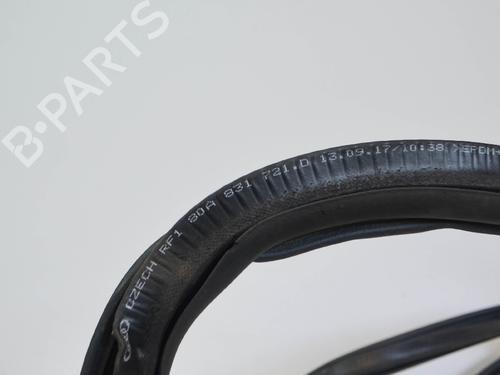 Rubber door seal AUDI Q5 (FYB, FYG) 2.0 TDI quattro | BP14671272C142 