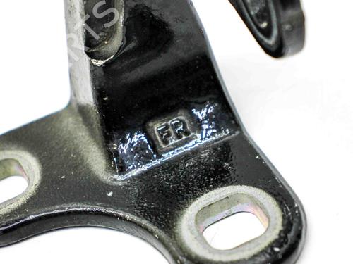 Hinge/Door check strap TESLA MODEL Y (5YJY) EV Performance All-wheel Drive | BP28823033C146 