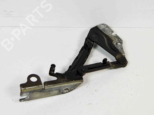 Used Hinge/Door check strap VW GOLF V (1K1) 1.4 16V (80 hp) 14682659