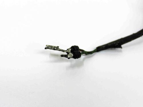 Ledningsnett TESLA MODEL S (5YJS) 70D AWD | BP26512853E16 