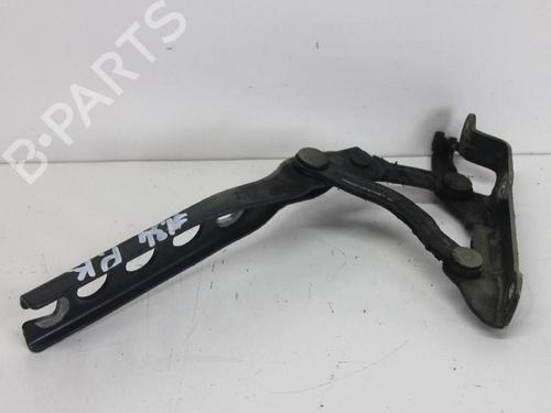 Hinge/Door check strap SKODA OCTAVIA II (1Z3) 2.0 TDI 16V | BP14682614C146 