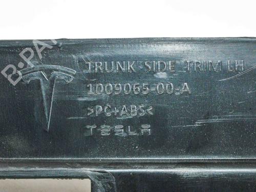 Annen TESLA MODEL S (5YJS) 85 | BP14680047O1 