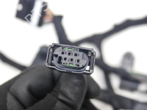 Wiring harness ALFA ROMEO STELVIO (949_) 2.0 Q4 | BP29919146E16 