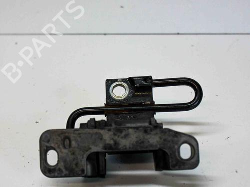 Cerniera/Limitatore di apertura porta VW PHAETON (3D1, 3D2, 3D3, 3D4, 3D6, 3D7, 3D8, 3D9) 3.0 V6 TDI 4motion | BP14677389C146