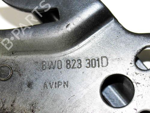 Hinge/Door check strap AUDI A4 B9 (8W2, 8WC) 2.0 TFSI quattro | BP23252265C146 