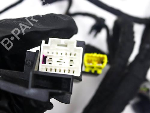 Wiring harness AUDI A8 D4 (4H2, 4H8, 4HC, 4HL) 4.2 FSI quattro | BP29593196E16 