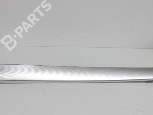 Used Right front door panel Right front door panel AUDI A6 C6 (4F2) 2.0 TDI (140 hp) 10299670 10299670