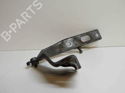 Hinge/Door check strap AUDI Q5 (8RB) 3.2 FSI quattro | BP14675025C146