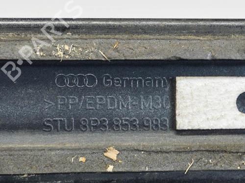 Door moulding trim AUDI A3 (8P1) 1.8 TFSI | BP14684737C150 