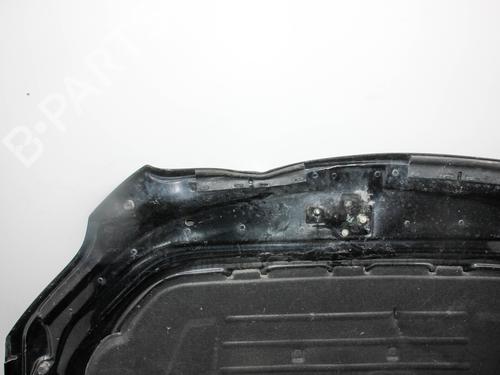 Hood AUDI Q7 (4LB) 3.0 TFSI quattro | BP29945436C1