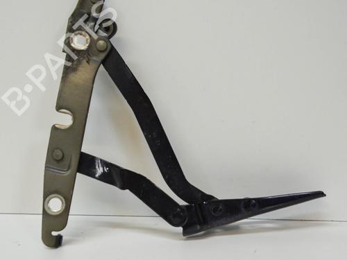 Hinge/Door check strap SEAT EXEO (3R2) 2.0 TDI | BP14674685C146 