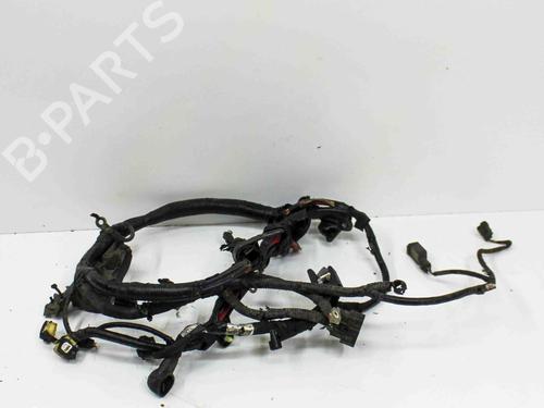 Used Wiring harness FORD USA F-150 Crew Cab Pickup 2.7 (329 hp) 28821149