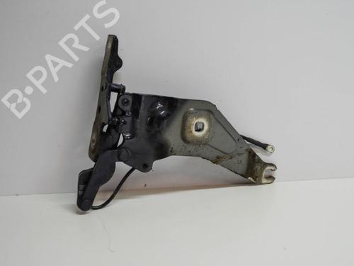Hinge/Door check strap BMW X5 (E70) 3.0 sd | BP14669289C146 