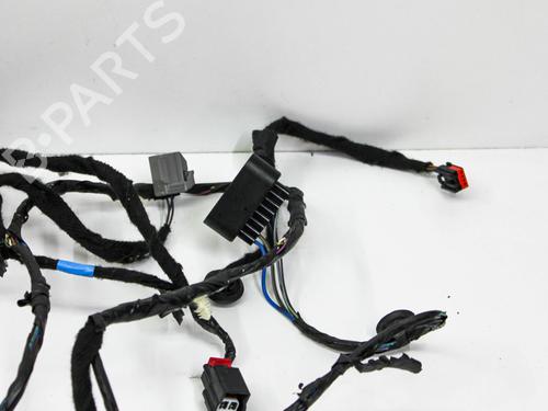 Ledningsnet FORD USA MUSTANG Coupe 3.7 V6 | BP28821595E16 
